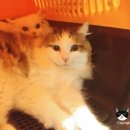 루시호텔 이미지