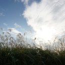 군문 주공 삼거리 이미지