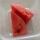 [임신 31주 기록] 임산부 한주간 기록(증상, 킨 뉴포트 H2 사이즈 착용감, 임산부 초밥, 만날준비)
