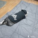 깐돌이PC 이미지