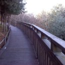 대청호오백리길 두메마을길 이미지