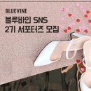 바인블루 이미지