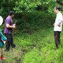 반딧불이 이미지