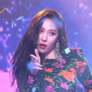 가시나 이미지