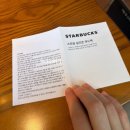 나만 | 스타벅스 실리콘 푸드백 세트｜오늘부터 시작🔥 왜 나만 샀지? (실물 후기)