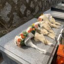 계명대학교 경주동산병원 이미지