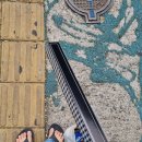 대화사과나무치과의원 이미지