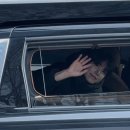 하룻강아지 | 하룻강아지 범 무서운 줄 모르네