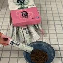 하이플 | 여행 필수템 차전차피 : 하이플 모닝팡 구매후기