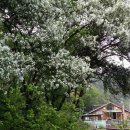 깊은산속민박 이미지