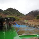 팔영산야영장 이미지