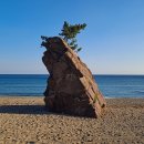 동해안연안녹색길 이미지