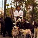 로시난테 이미지