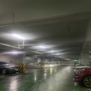 화정체육관 | 도경수 콘서트 DO it 화정체육관 주차 후기 주차꿀팁 E구역 시야