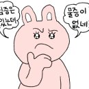 배씨상회 이미지