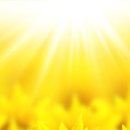 김유미 보청기 전문센터 이미지