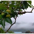 가정 농촌체험 휴양마을 이미지