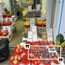 신선한녀석들