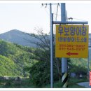 남지향어회