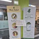 세븐일레븐 울산언양읍성점 | 유니스트 맛집 울산 모어샌드위치 모어샐러드 유니스트점 메뉴, 영업시간, 포장후기