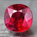 하야루비 이미지