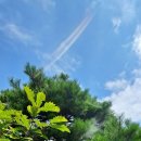 하늘정원1 이미지