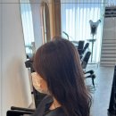 순수 세종그린점 네이버블로그