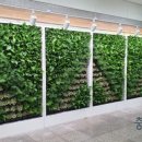 금빛가든 이미지