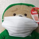 씨에스덴탈 | 【마스크 추천】믿을 수 있는 그린 케어 국산 덴탈 마스크 솔직 후기