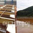 녹색산
