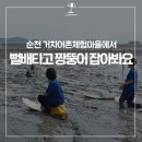 거차어촌체험휴양마을 이미지