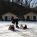 양지파인글램핑 | 용인 글램핑, 라온마을 양지파인 리조트