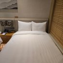 오즈스크린골프 | [2025 마쓰야마 혼자 여행] 1일차-1_시작부터 오르막길(공항, 시내버스, 도고 공원, 봇짱, 우나기오구라)