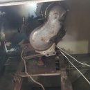 진성크리닝 이미지