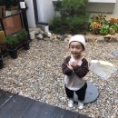 카페동감