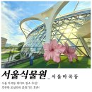 송정게이트1 배수펌프장 | 강서구 데이트 장소 추천 힐링산책 가능한 [서울식물원]