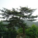 남계3리 Daum카페