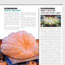 주식회사 유니콘웨일 이미지