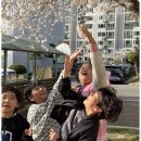 대호체육관 이미지