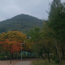 노래교실 수업 끝네고 바로 인천 대공원 힐링 걷고왔어요 이미지