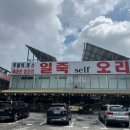 일죽셀프오리 이미지