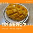 무지개망고 당도최고 망고선물세트 추천
