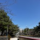 원동1공원 | 화명생태공원에서 양산 원동까지 _ 소요시간, 자전거 타고 미나리 삼겹살 먹기