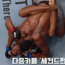 UFC 225_언더카드 `알리스타 오브레임 vs 커티스 블레이즈` 피니쉬 장면 이미지