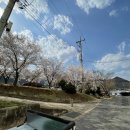 수메디테크 이미지