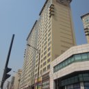 수정-101 이미지