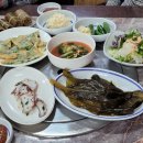 어부마을바다장어산곰장어