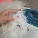 구평동물병원 이미지