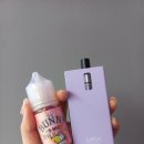 핑크버니 이미지