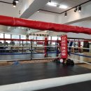 산본미래권투 이미지